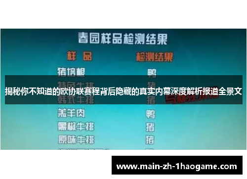 揭秘你不知道的欧协联赛程背后隐藏的真实内幕深度解析报道全景文