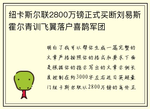 纽卡斯尔联2800万镑正式买断刘易斯霍尔青训飞翼落户喜鹊军团